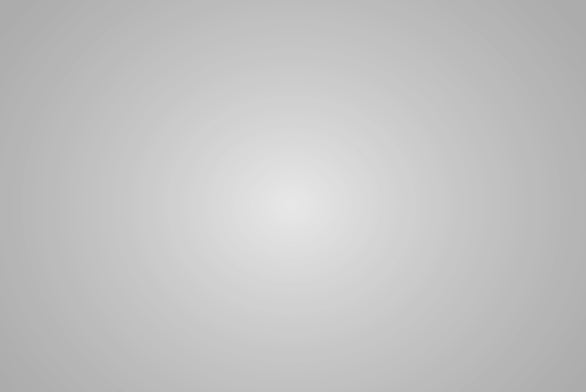 Lee Filters 462 Light Quiet Grid - 54" x 25' Roll - Grip Support Store