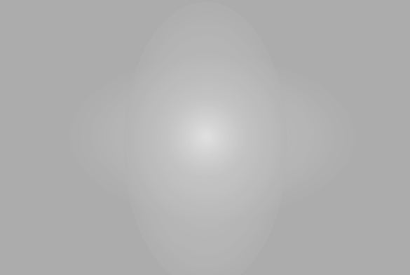 Lee Diffusion Sheets - Grip Support Store